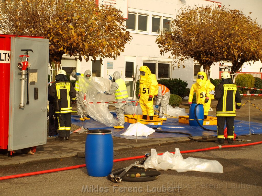 Saureaustritt Koeln Loevenich Daimlerstr P088.JPG